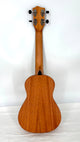 'Oli L Concert Mahagoni satin (L-CM-S)