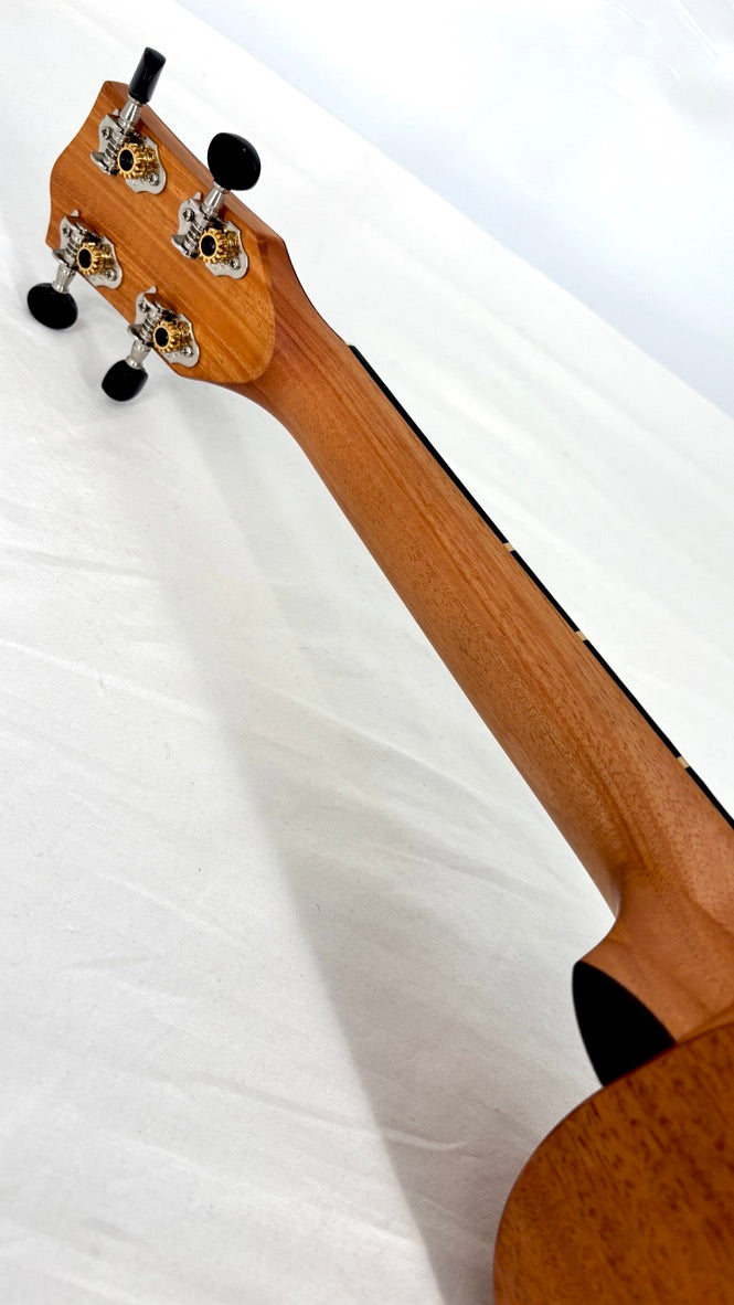 'Oli L Concert Mahagoni satin (L-CM-S)