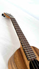 'Oli L Tenor Acacia satin (L-TA-S)