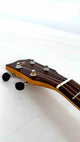 'Oli L Tenor Acacia satin (L-TA-S)