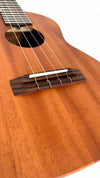'Oli L Tenor Mahagoni satin (L-TM-S)