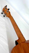'Oli L Tenor Mahagoni satin (L-TM-S)