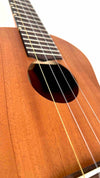 'Oli L Tenor Mahagoni satin (L-TM-S)