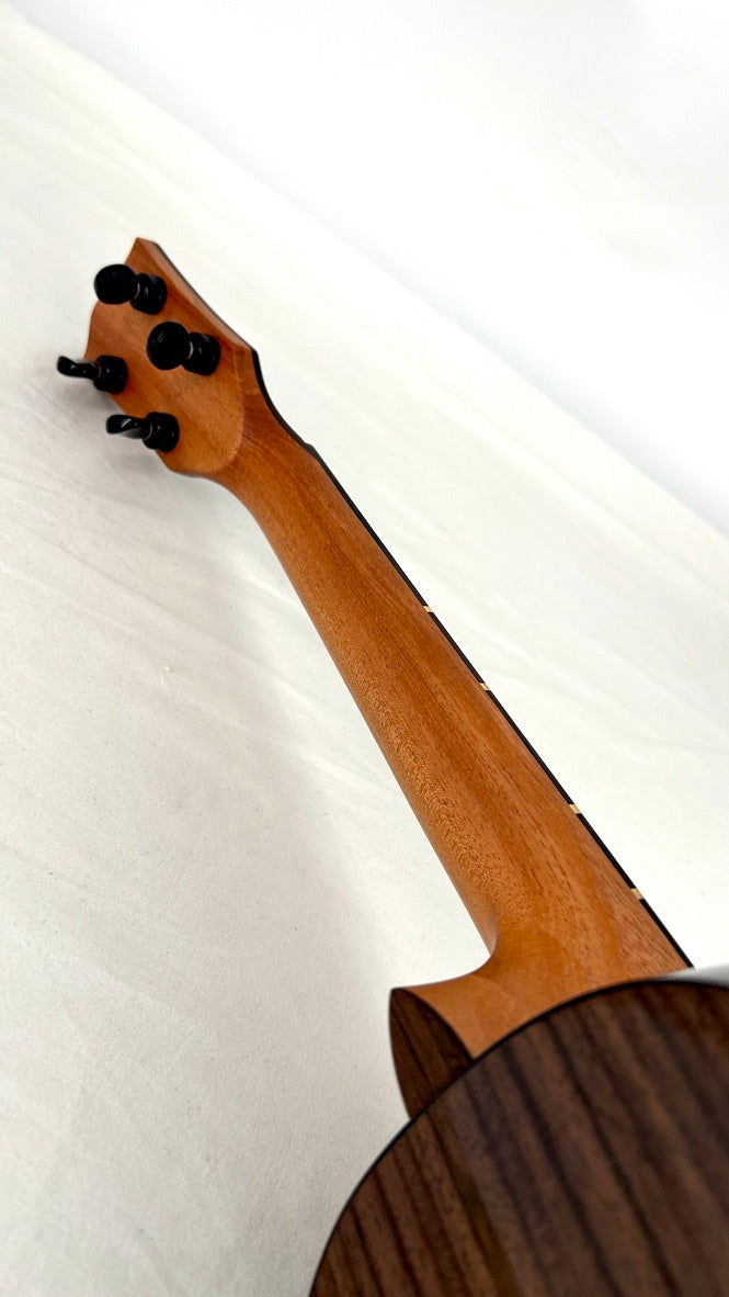 'Oli L2 Tenor Spruce Rosewood gloss (L2-TSR)