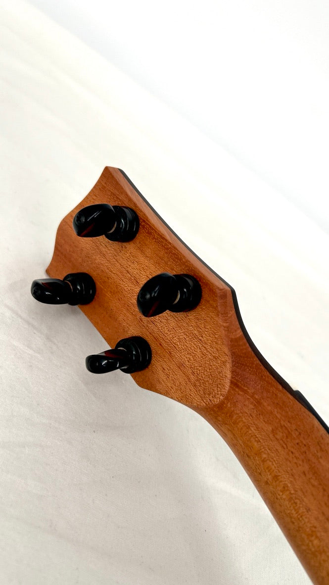 'Oli L2 Tenor Spruce Rosewood gloss (L2-TSR)