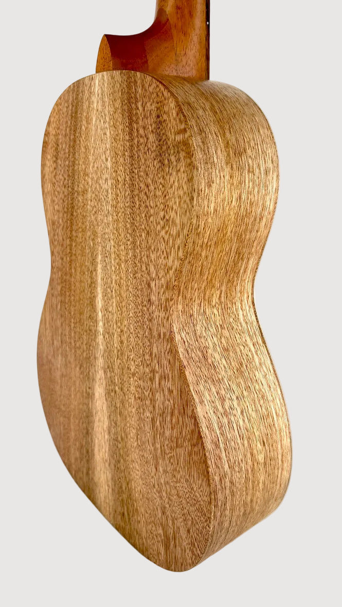 PONO MGB-K Bariton