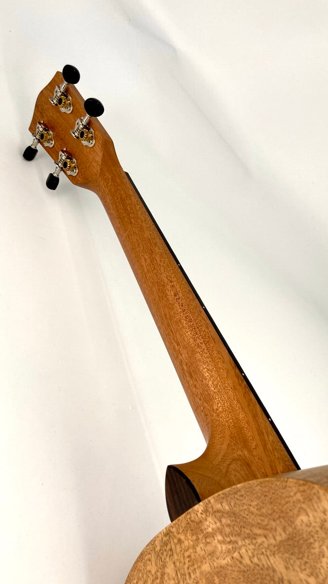 PONO MGB Bariton