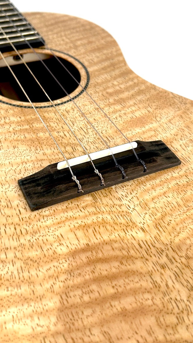 PONO MGBD Bariton