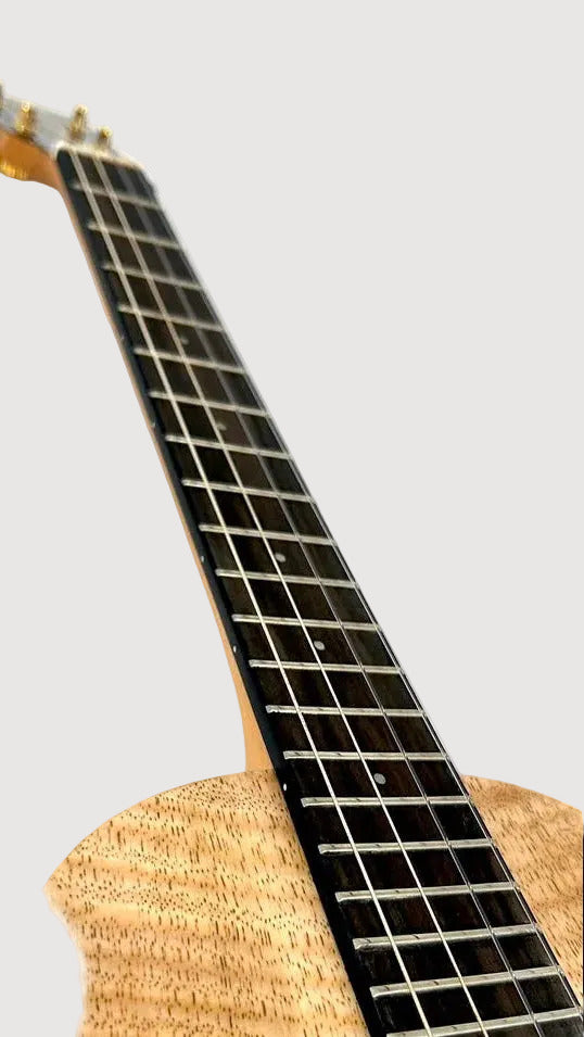 PONO MGBD Bariton