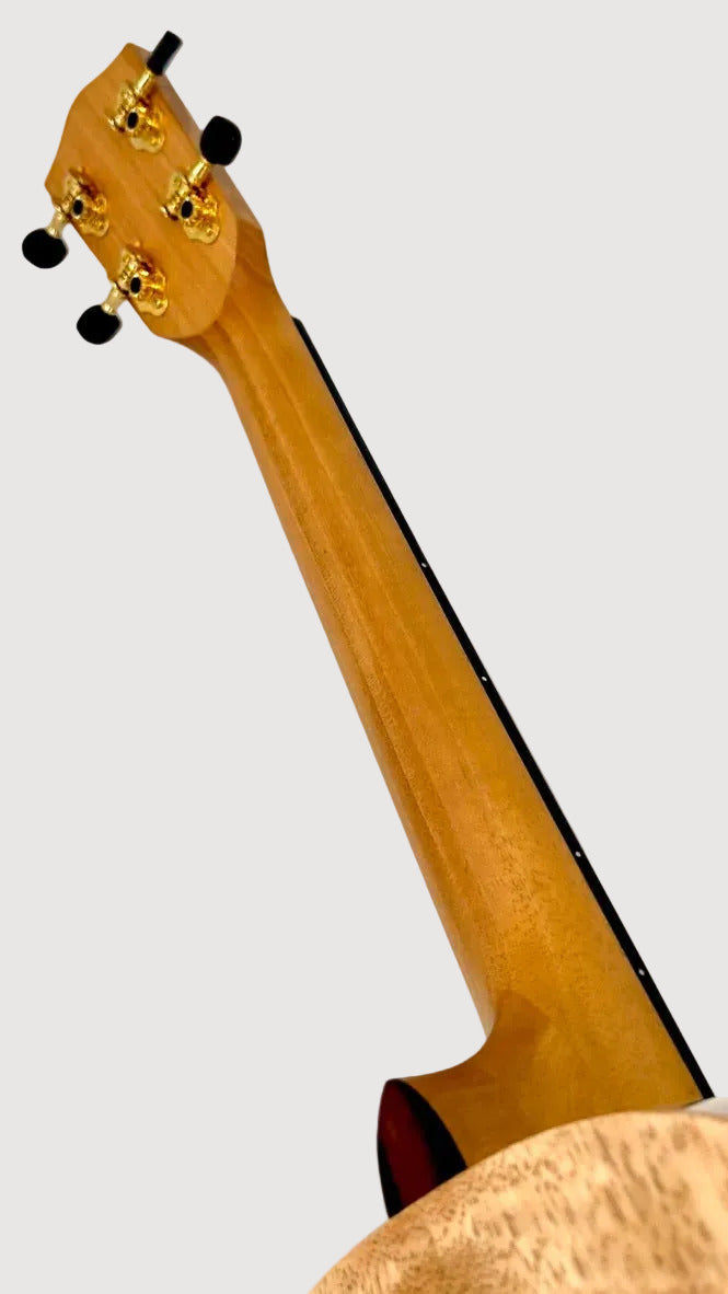 PONO MGBD Bariton