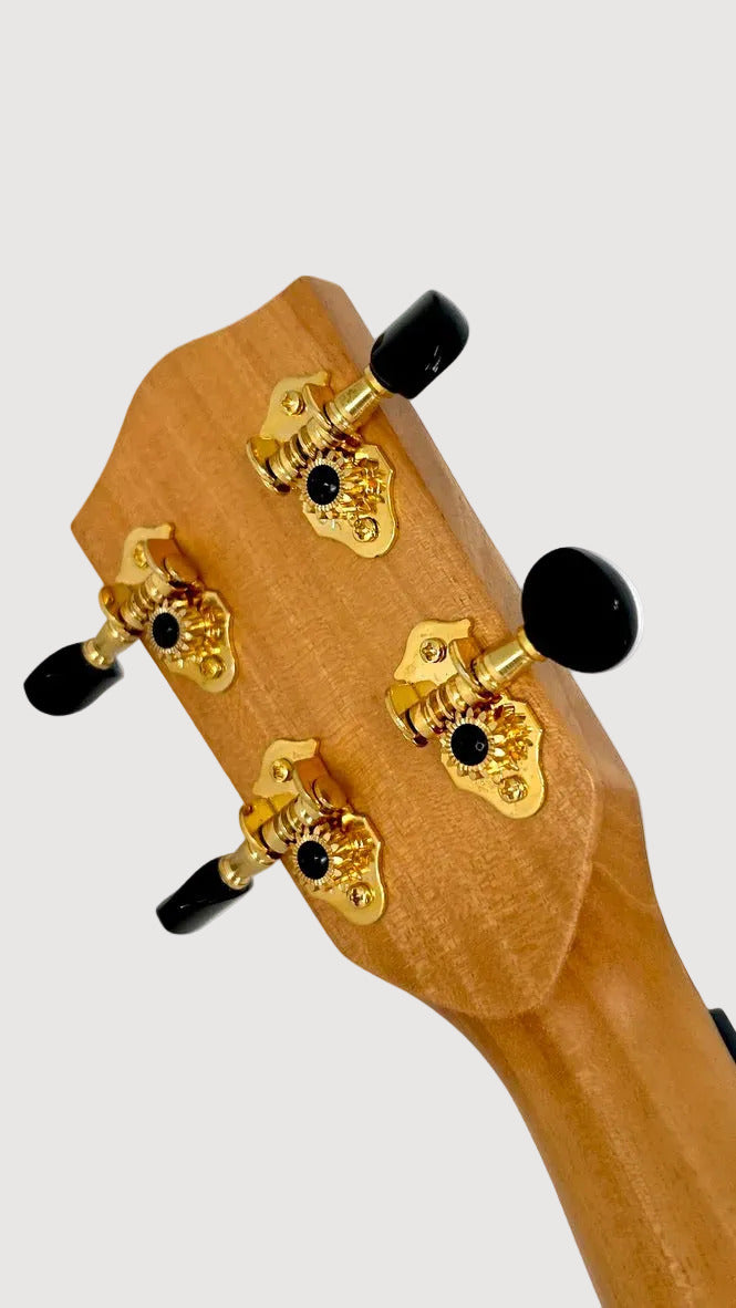 PONO MGBD Bariton