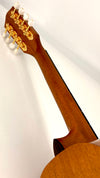 Pono MTD8
