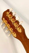 Pono MTD8