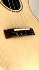 PONO Master Series Bariton RB-MS