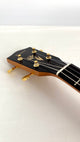 PONO Master Series Bariton RB-MS
