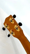 PONO MBD Bariton