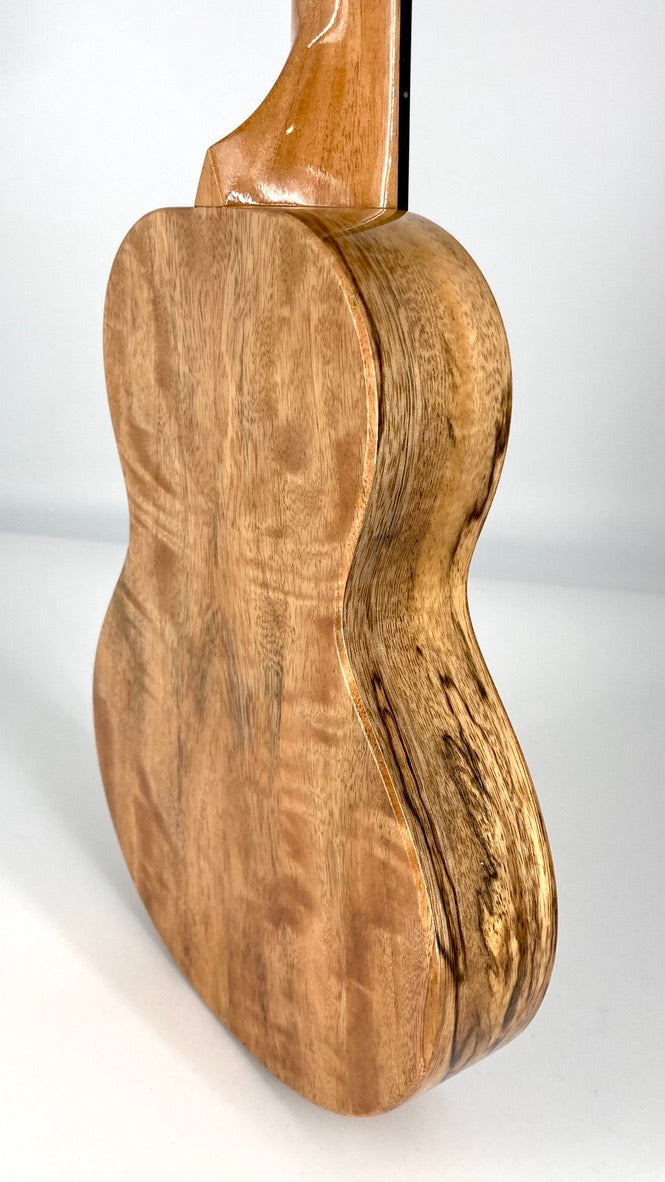 Rebel Creme brulee Concert Longneck gloss #11