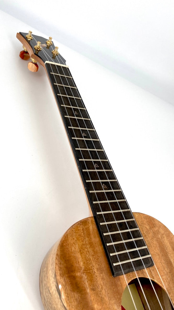 Rebel Creme brulee Concert Longneck gloss #11