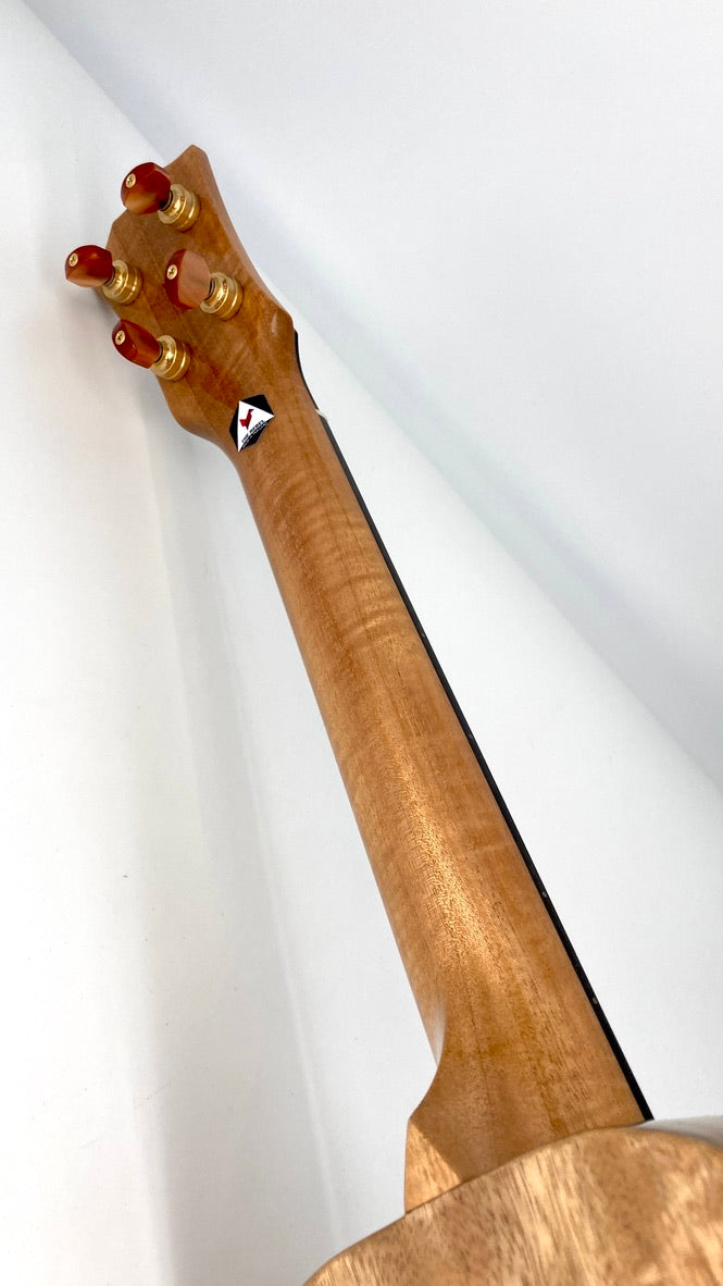 Rebel Creme brulee Concert Longneck gloss #11