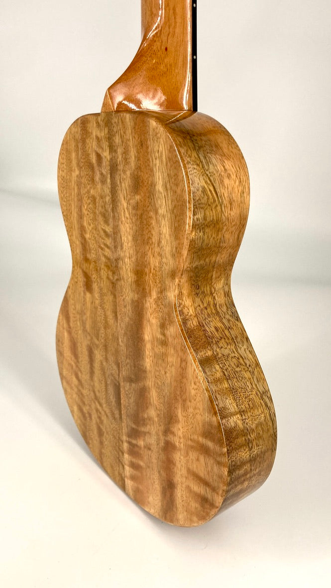 Rebel Creme brulee Concert Longneck gloss #12