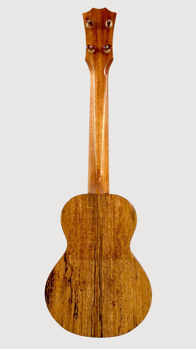 Rebel Creme brulee Concert Longneck gloss #14