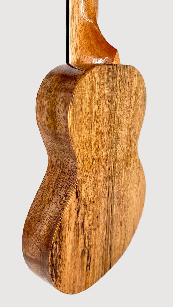 Rebel Creme brulee Concert Longneck gloss #14