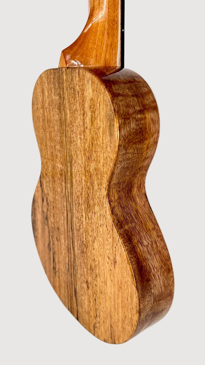 Rebel Creme brulee Concert Longneck gloss #14