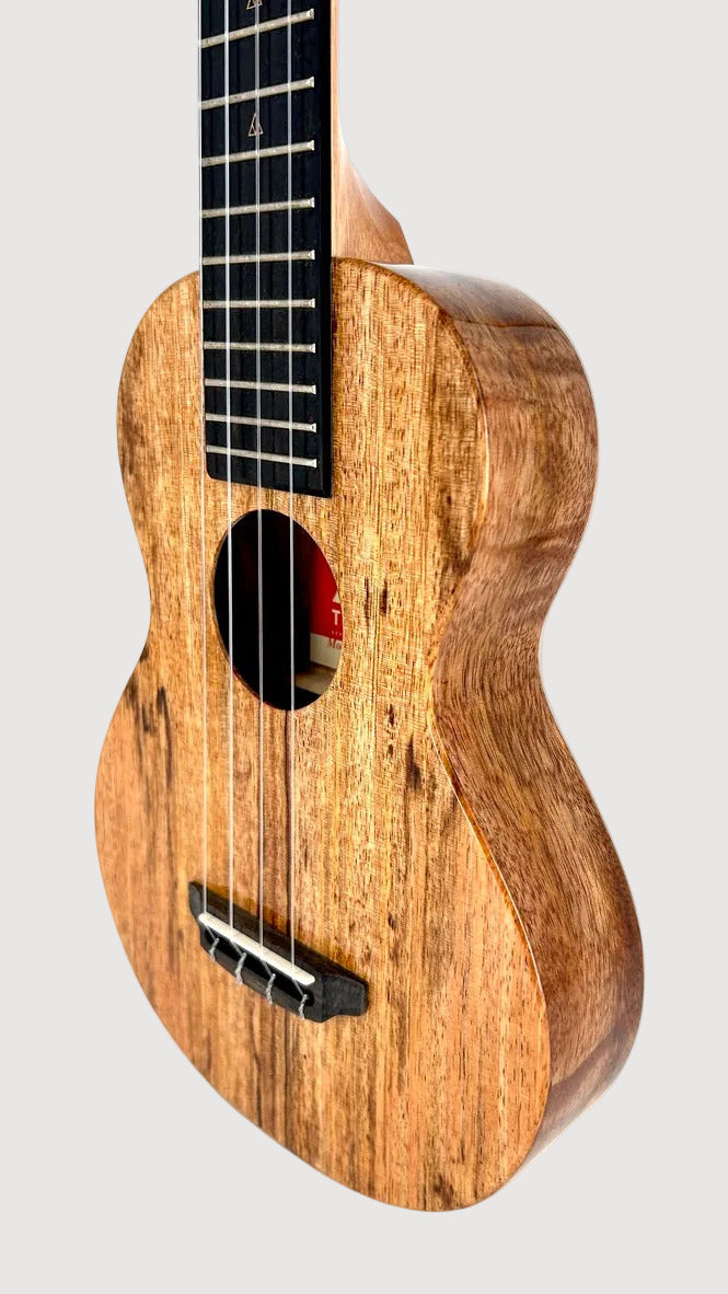 Rebel Creme brulee Concert Longneck gloss #14