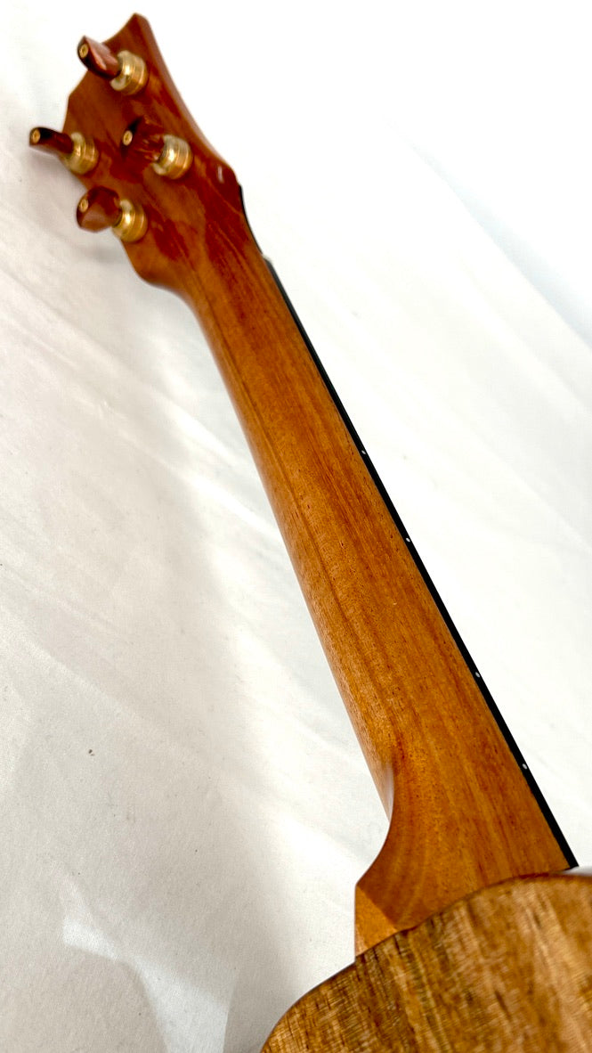 Rebel Creme brulee Concert Longneck gloss #14