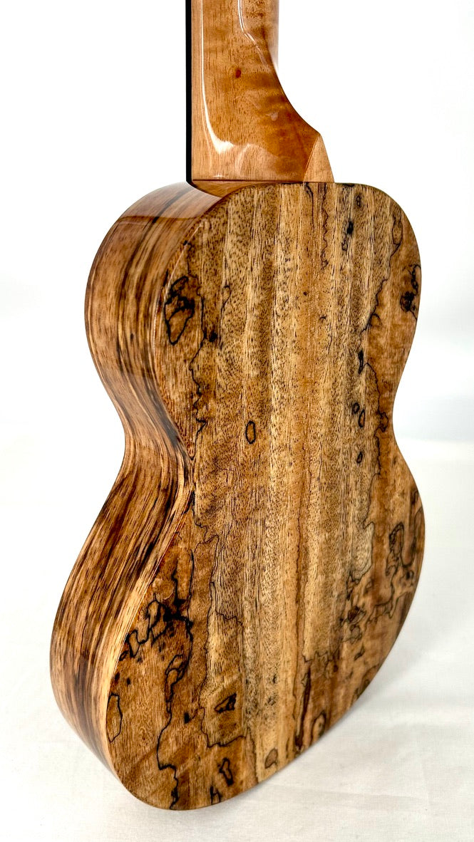 Rebel Creme brulee Concert gloss #31