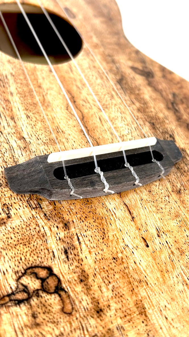 Rebel Creme brulee Concert gloss #31