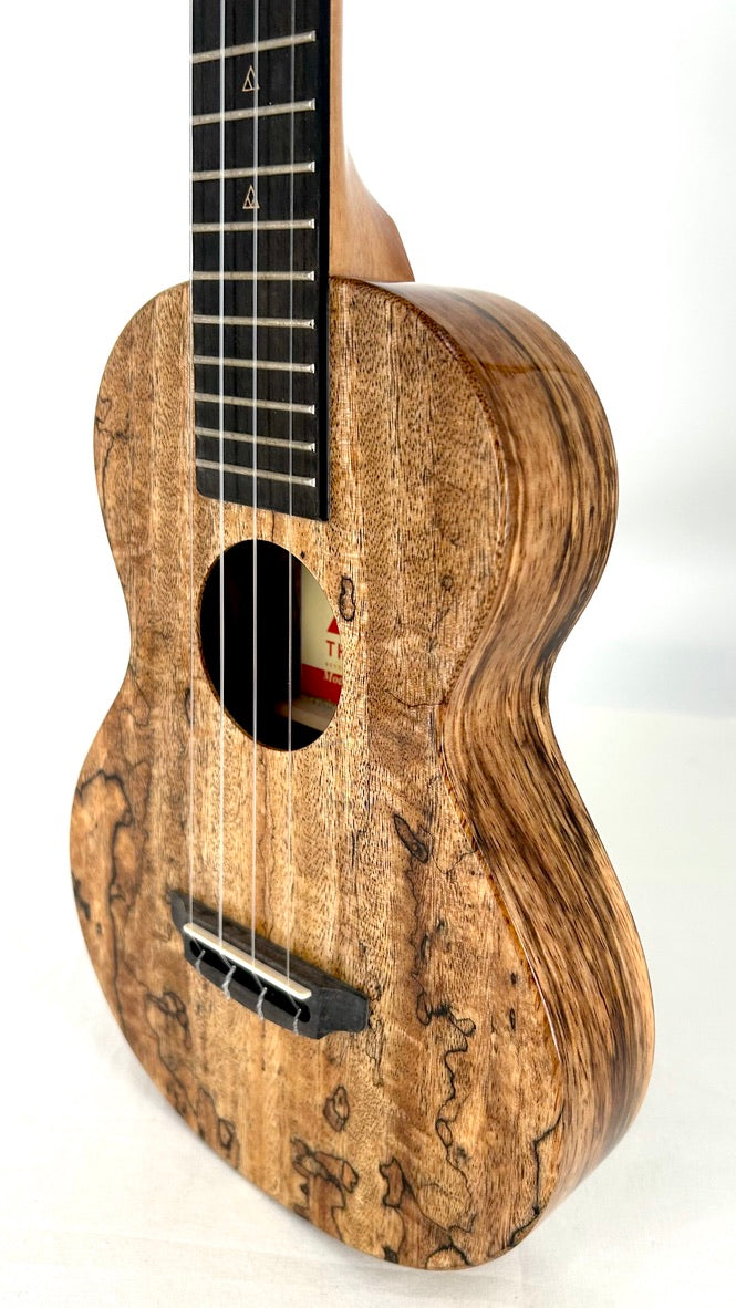 Rebel Creme brulee Concert gloss #31