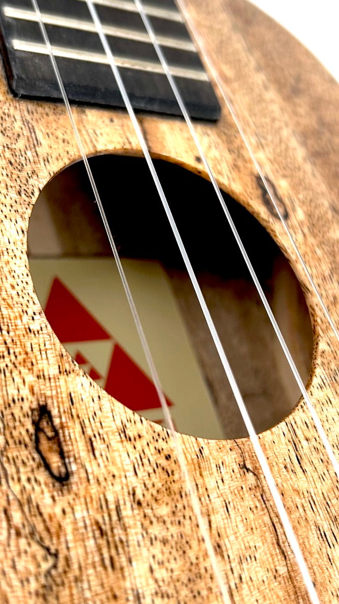 Rebel Creme brulee Concert gloss #31