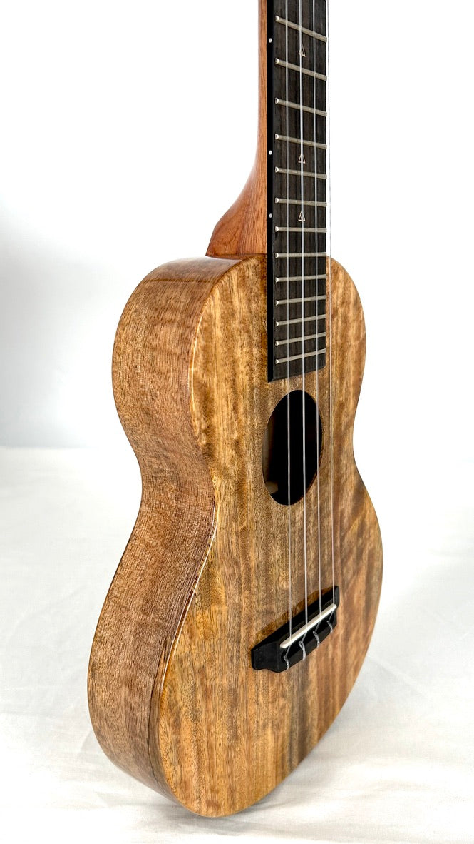 Rebel Creme brulee Concert gloss #34