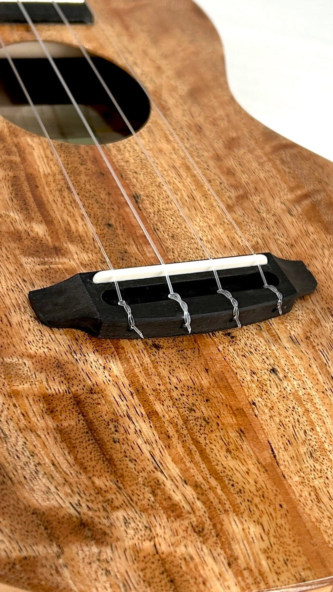 Rebel Creme brulee Concert gloss #35