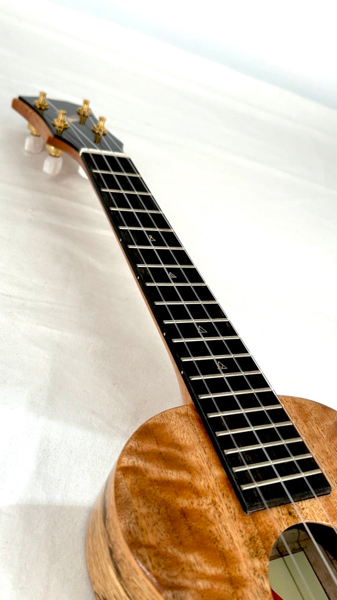 Rebel Creme brulee Concert gloss #35