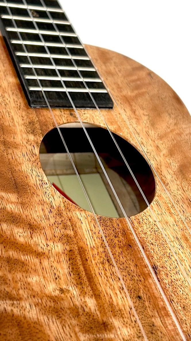 Rebel Creme brulee Concert gloss #35