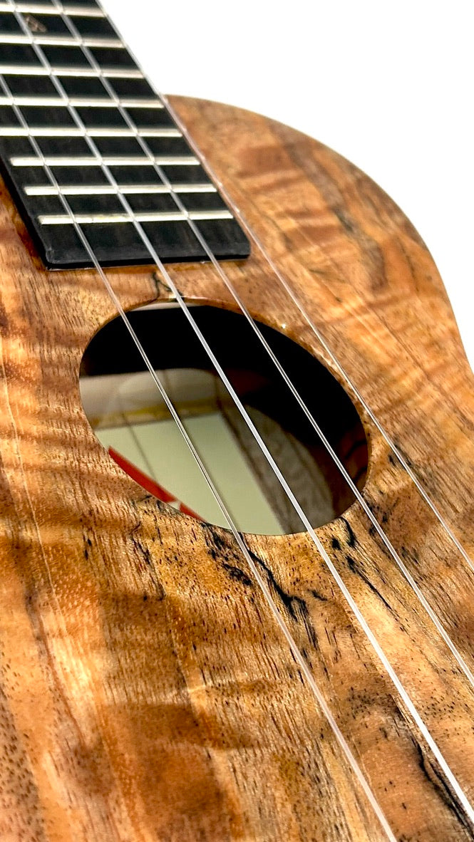 Rebel Creme brulee Concert gloss #36