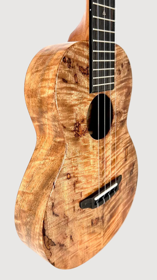 Rebel Creme brulee Tenor gloss #24