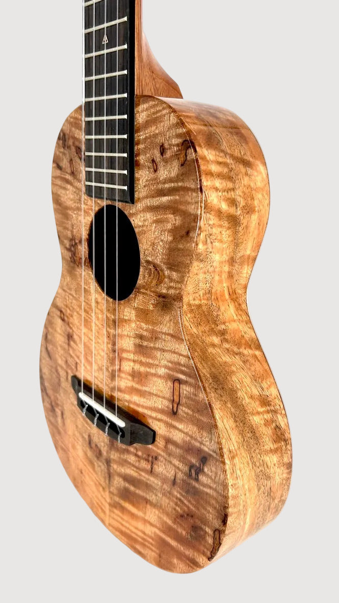 Rebel Creme brulee Tenor gloss #24