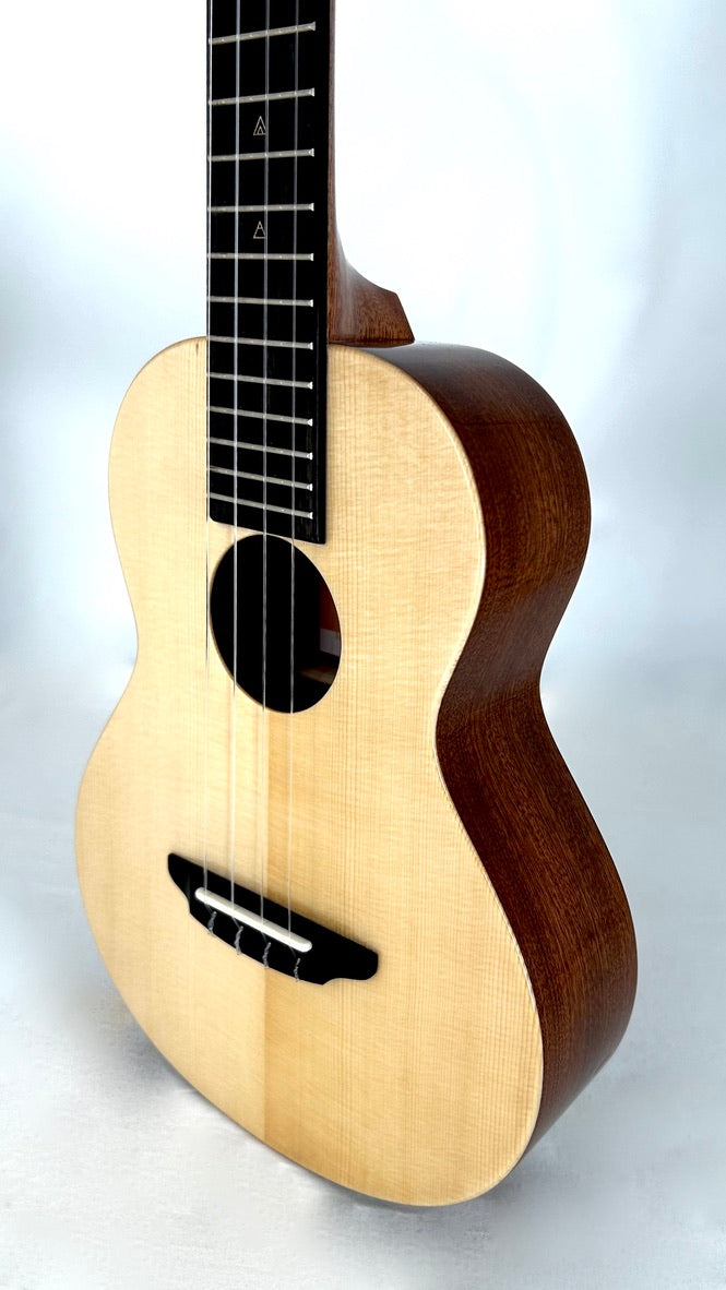 Rebel Double Cheese Tenor #3