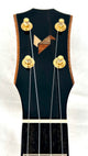Rebel Double Creme Concert Longneck gloss #28