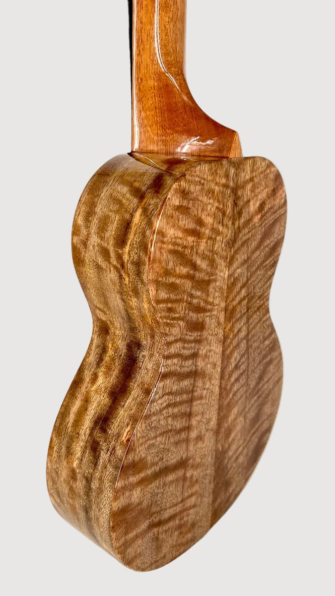 Rebel Double Creme Concert Longneck gloss #32