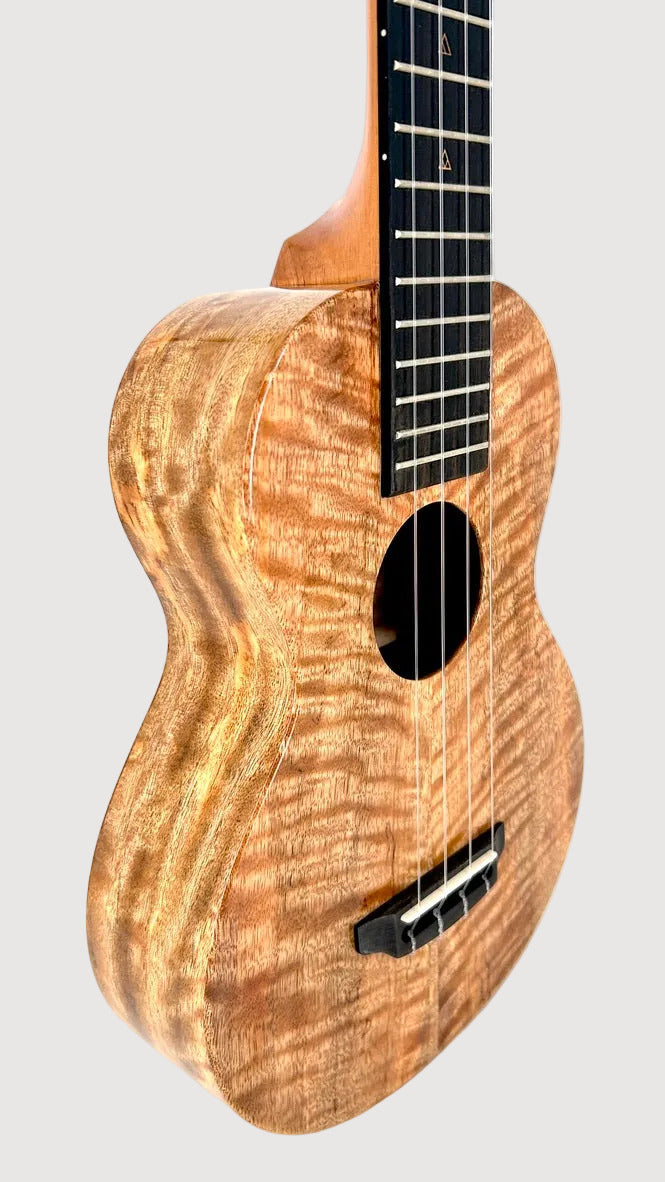 Rebel Double Creme Concert Longneck gloss #32