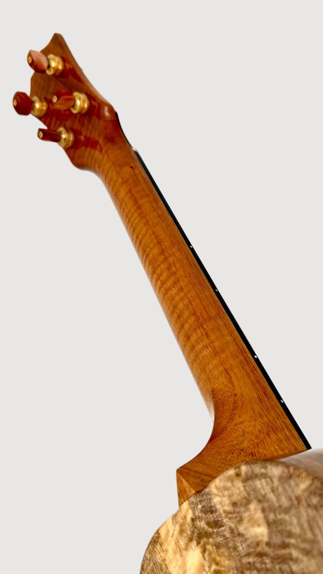 Rebel Double Creme Concert Longneck gloss #33