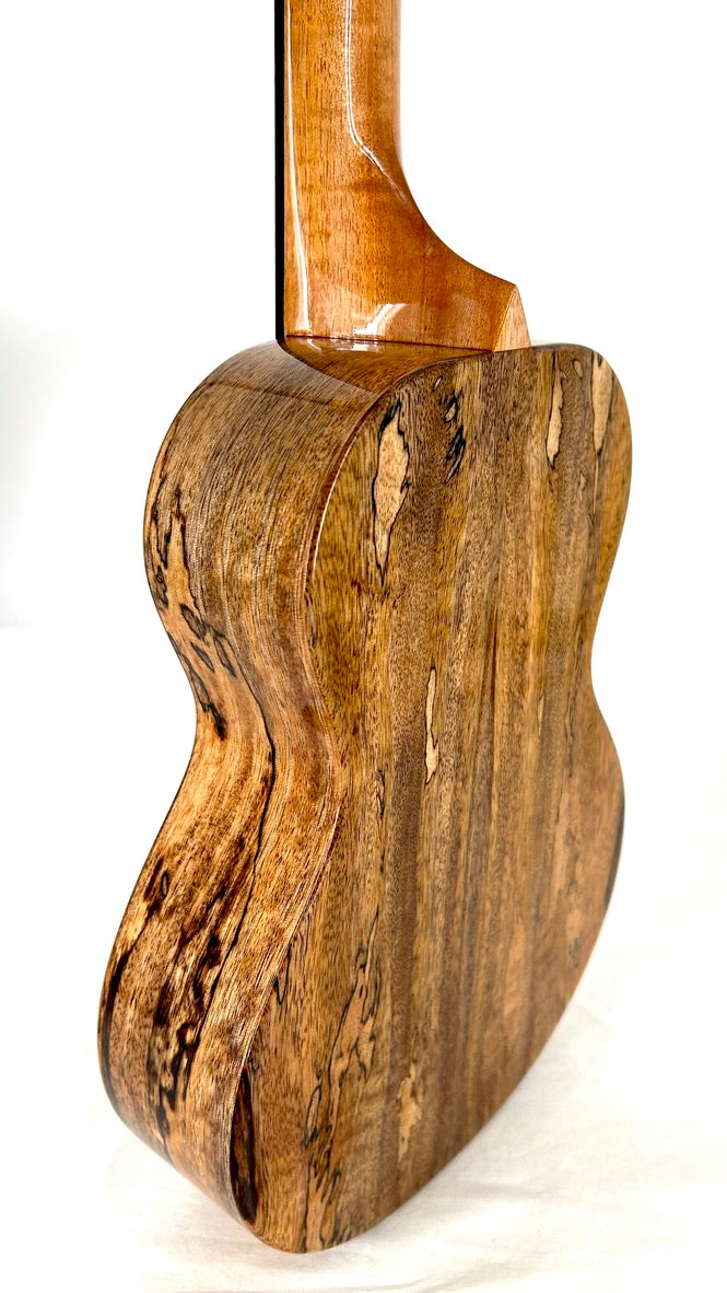 Rebel Double Creme Concert gloss #66