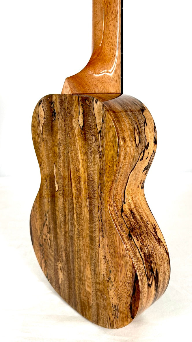 Rebel Double Creme Concert gloss #66