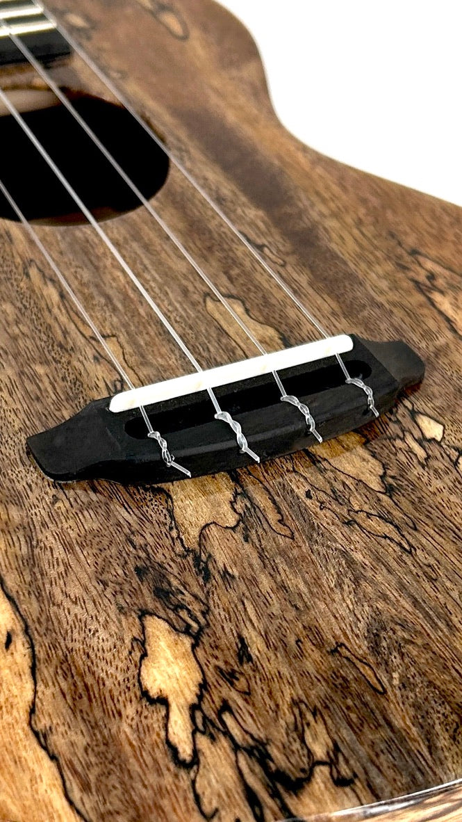 Rebel Double Creme Concert gloss #66