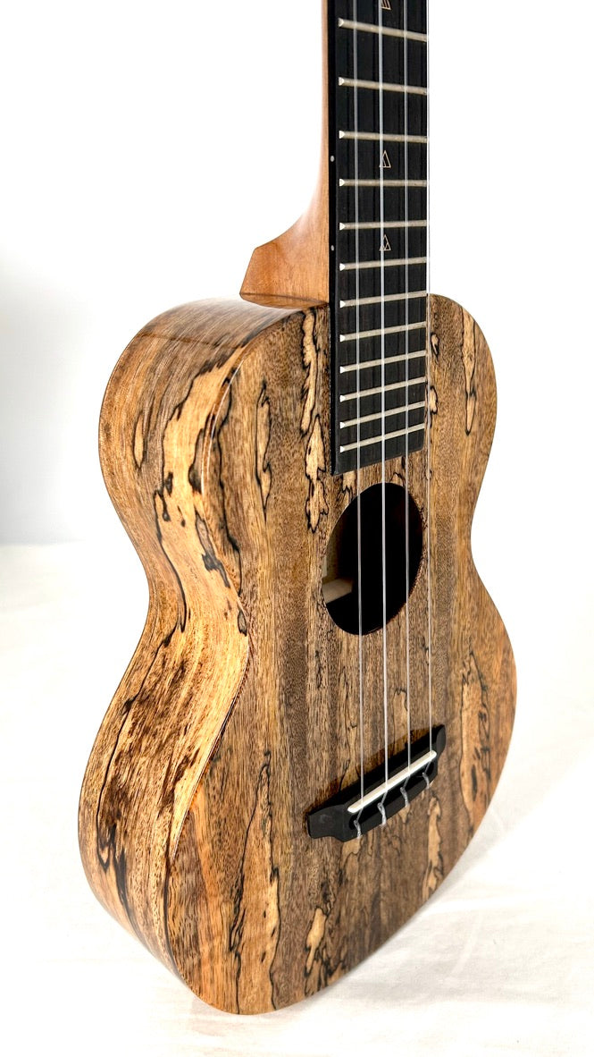 Rebel Double Creme Concert gloss #66