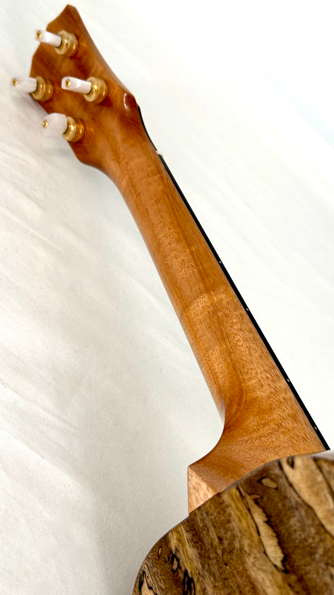 Rebel Double Creme Concert gloss #66